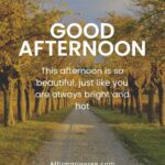 39 Brightful Good Afternoon Blessings To Carry You Through The Day