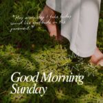 65 Soulful Good Morning Sunday Blessings to Hold Close to Your Heart