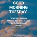 25 Musical Good Morning Tuesday Blessings For The Steady Rhythm