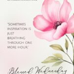 50 Soulful Wednesday Blessings of Wanderlust