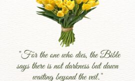 12 Meaningful Grieving Quotes Bible That Carry the Weight of Loss